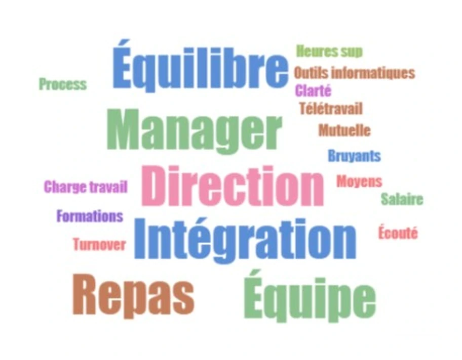 Nuage de mots issus de l'analyse de sentiment des verbatims